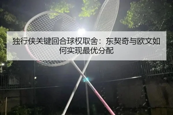 独行侠关键回合球权取舍：东契奇与欧文如何实现最优分配
