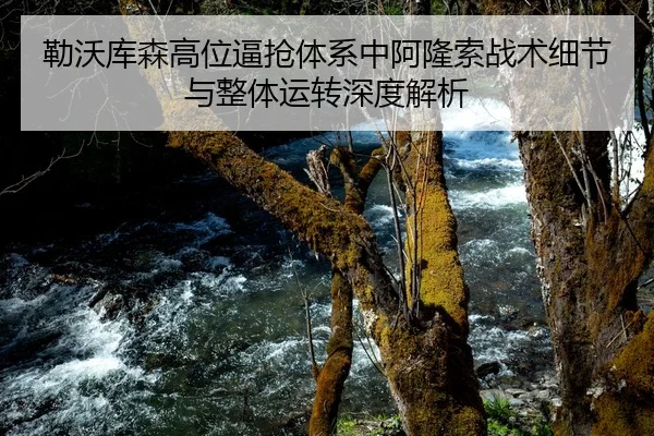 勒沃库森高位逼抢体系中阿隆索战术细节与整体运转深度解析