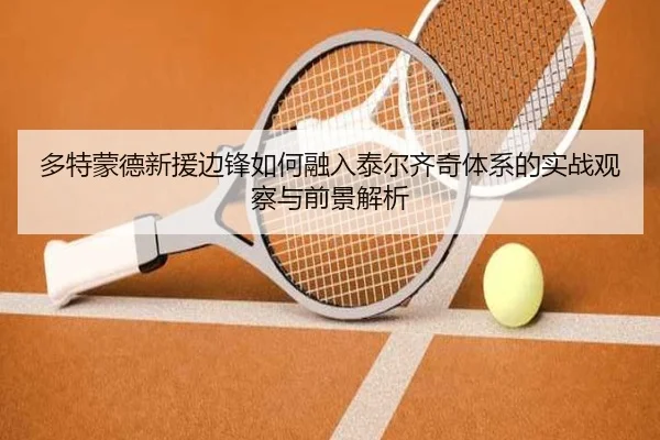 多特蒙德新援边锋如何融入泰尔齐奇体系的实战观察与前景解析