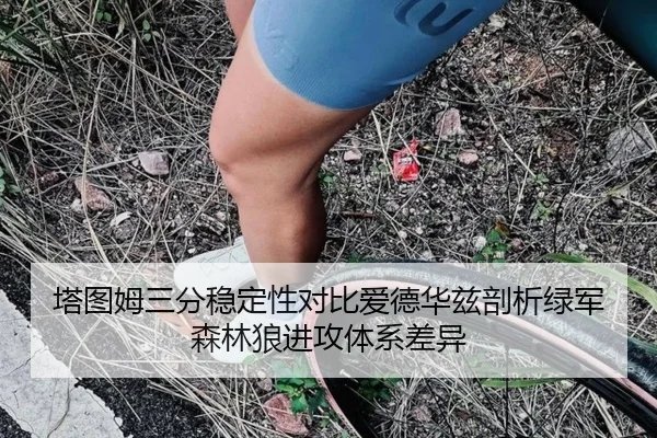 塔图姆三分稳定性对比爱德华兹剖析绿军森林狼进攻体系差异